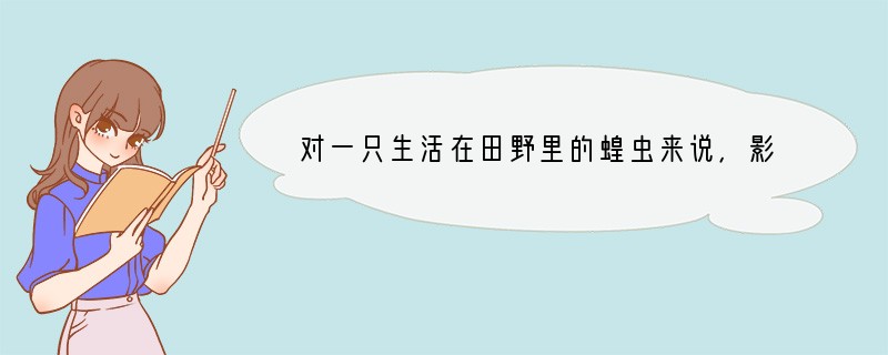 对一只生活在田野里的蝗虫来说，影响它生活的环境因素是（　　）A．田野中的植物和蛇、蛙